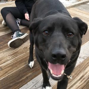 Meet your Posher, Sophia